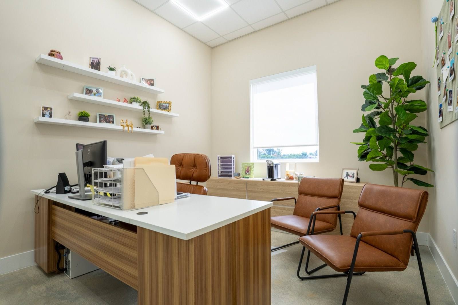 A finished private office inside the Opa-locka building, walnut desk, two leather chairs and a fiddle-leaf fig by the window